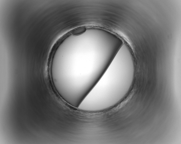 X0000096660928200802121127