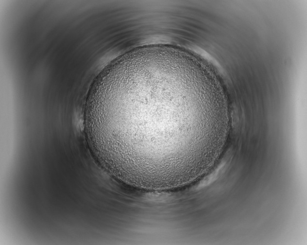 X0000096660929200802121127