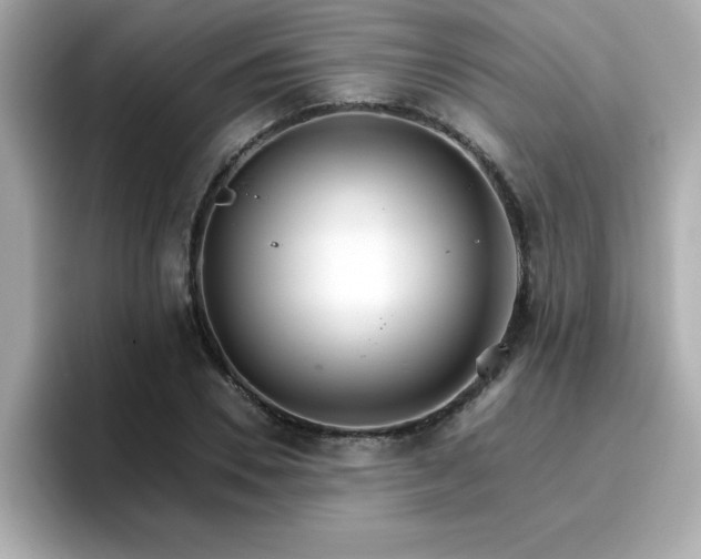 X0000096660930200802121127