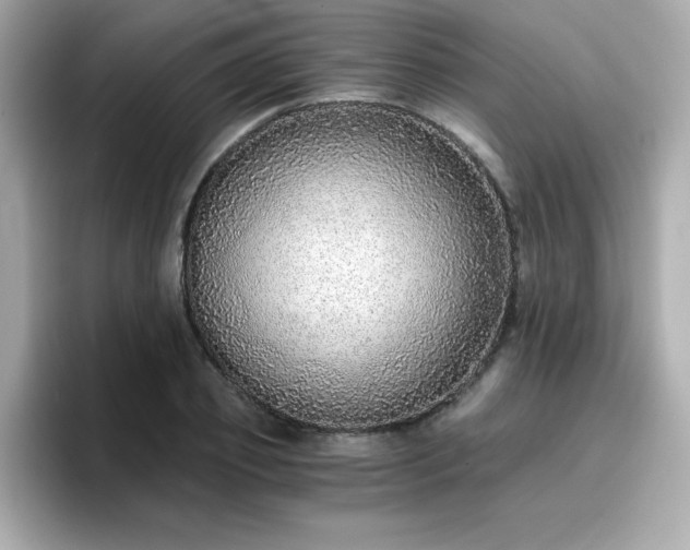 X0000096660933200802121127