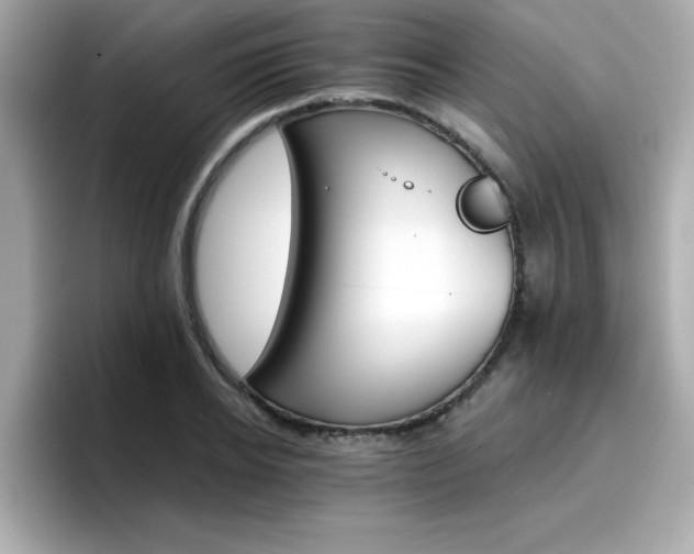 X0000096660934200802121127