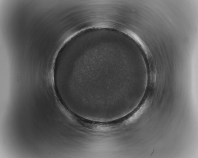 X0000096660935200802121127