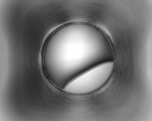 X0000096660936200802121127