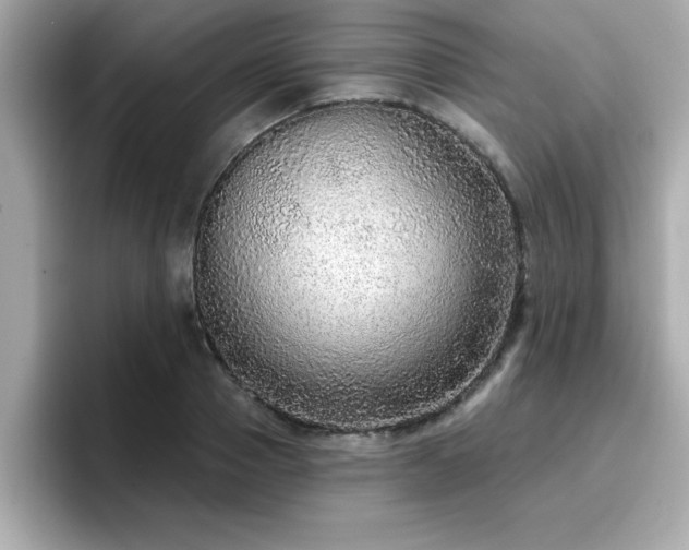 X0000096660937200802121127