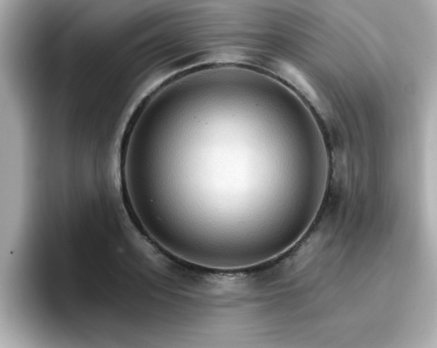 X0000096660939200802121128