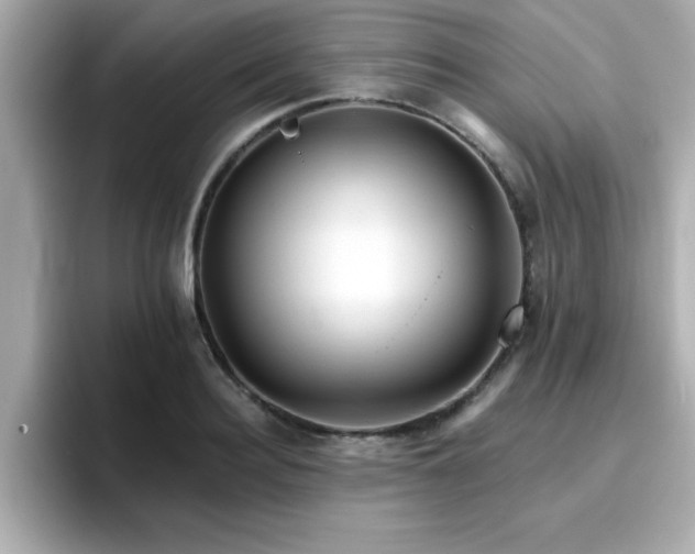 X0000096660940200802121128