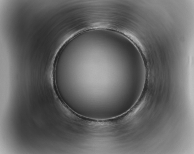 X0000096660941200802121128