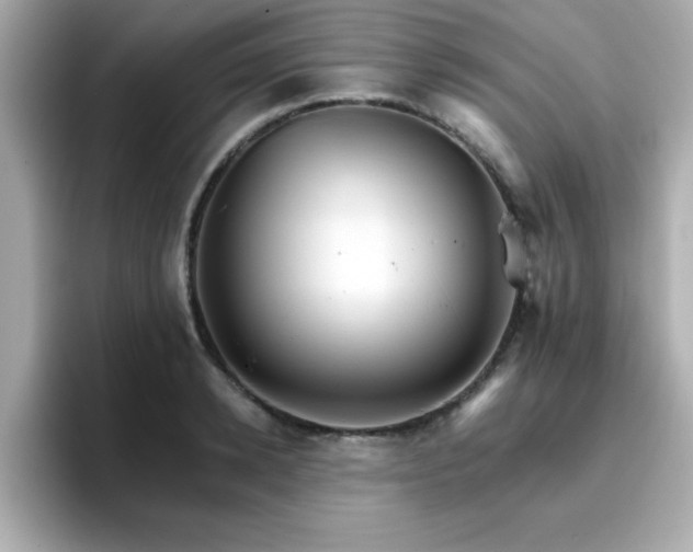 X0000096660942200802121128