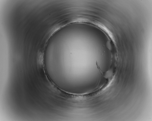 X0000096660945200802121128