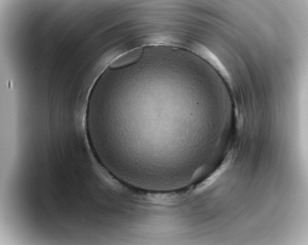 X0000096660946200802121128