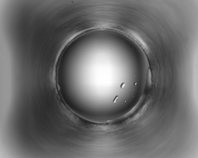 X0000096660948200802121128