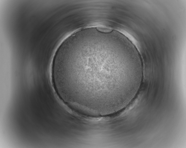 X0000096660949200802121128