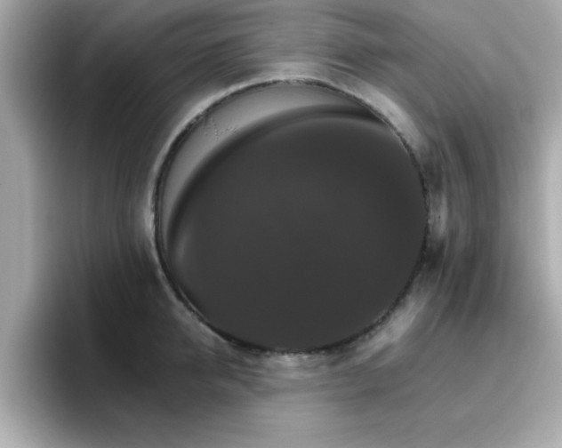 X0000096660950200802121128