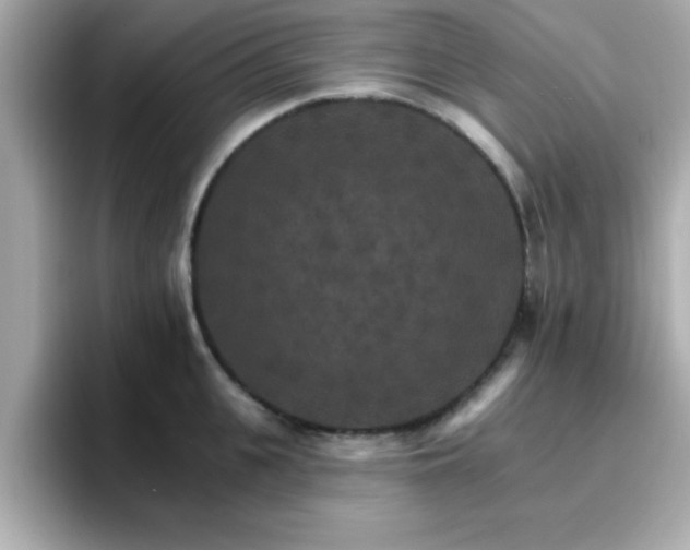 X0000096660951200802121128