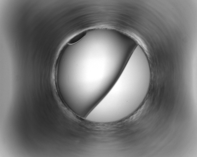 X0000096660952200802121128