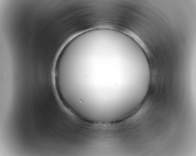 X0000096660955200802121128