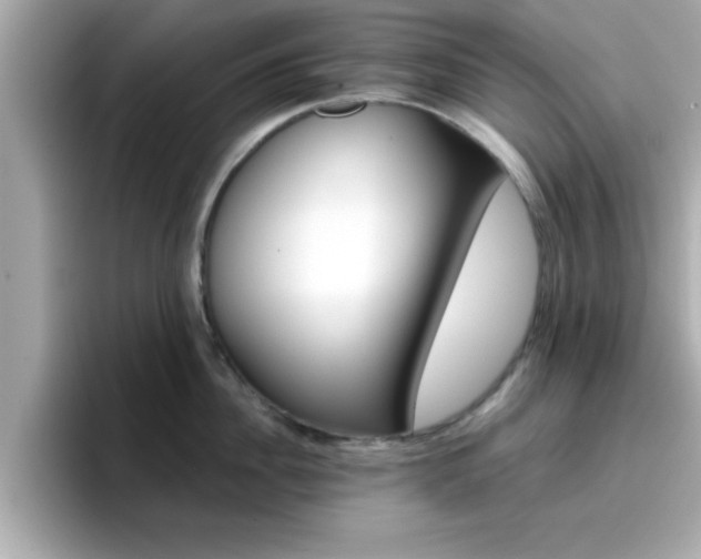 X0000096660956200802121128