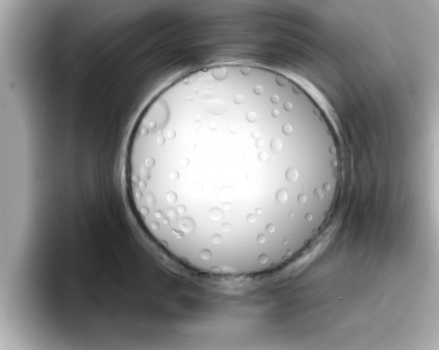 X0000096660957200802121128