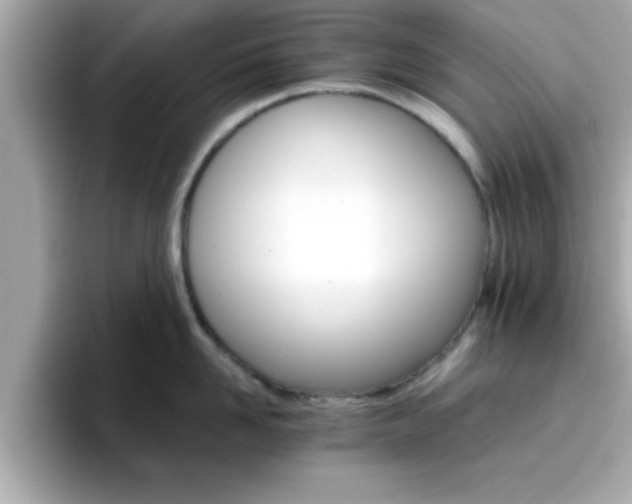 X0000096660958200802121128