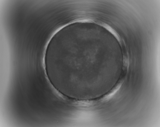 X0000096660959200802121128