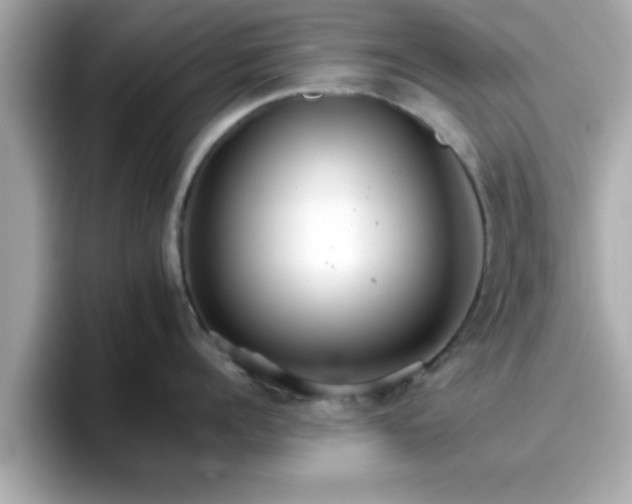 X0000096660960200802121128