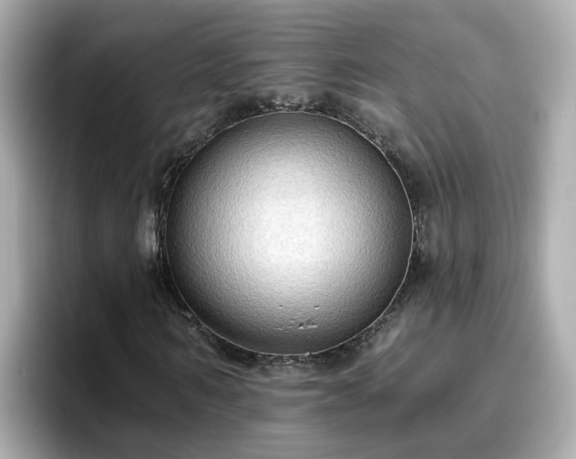 X0000096660962200802121127