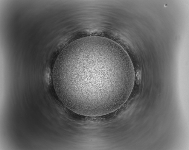 X0000096660963200802121127