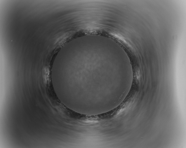 X0000096660964200802121127