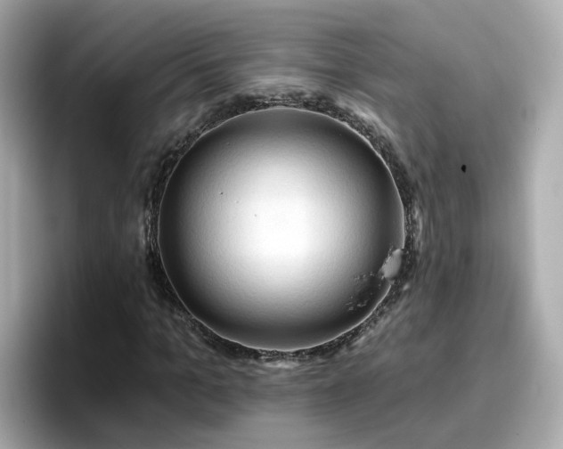 X0000096660965200802121127