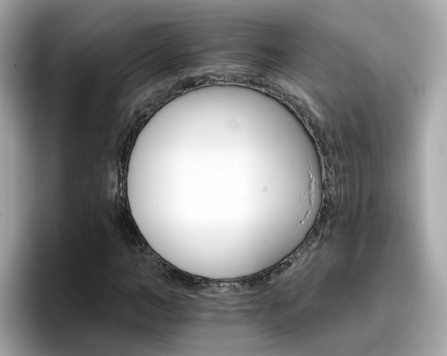 X0000096660966200802121127