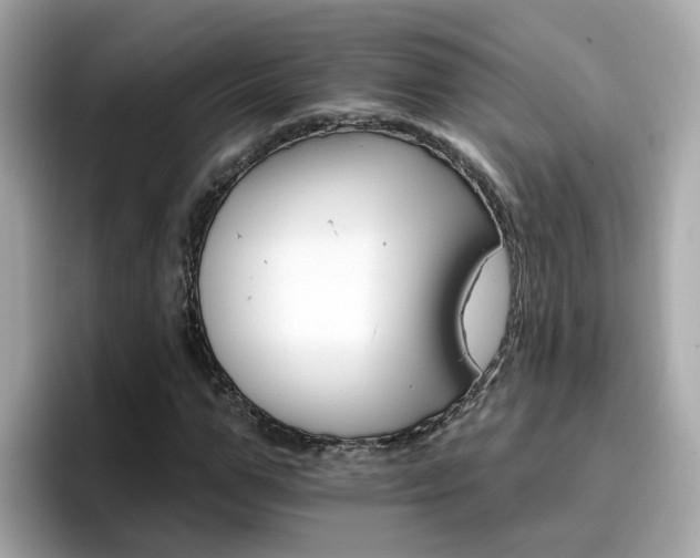 X0000096660967200802121127