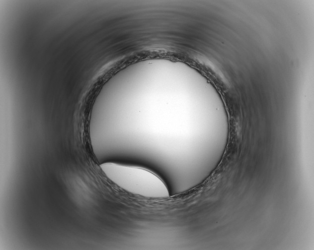 X0000096660968200802121127