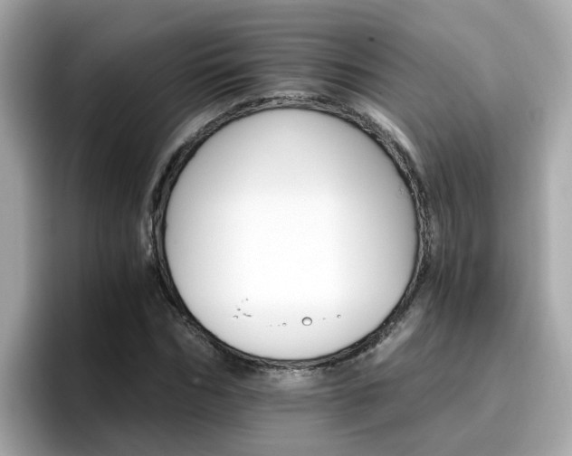 X0000096660970200802121127