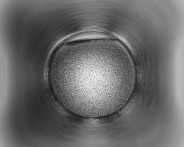 X0000096660971200802121127