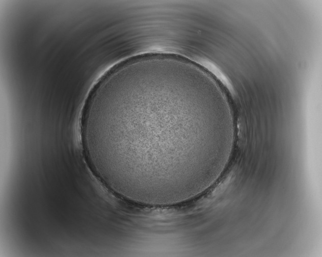 X0000096660972200802121127