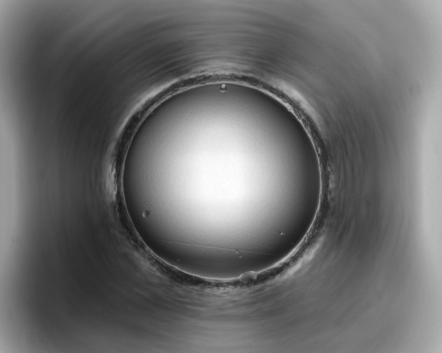 X0000096660973200802121127