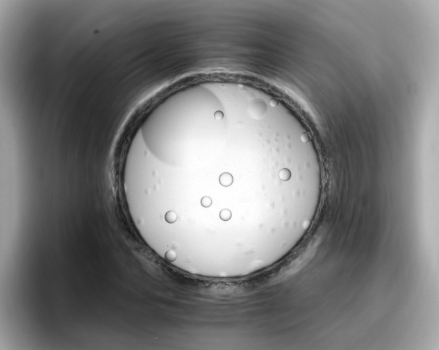 X0000096660974200802121127