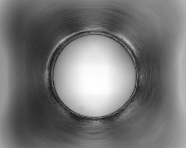 X0000096660975200802121127