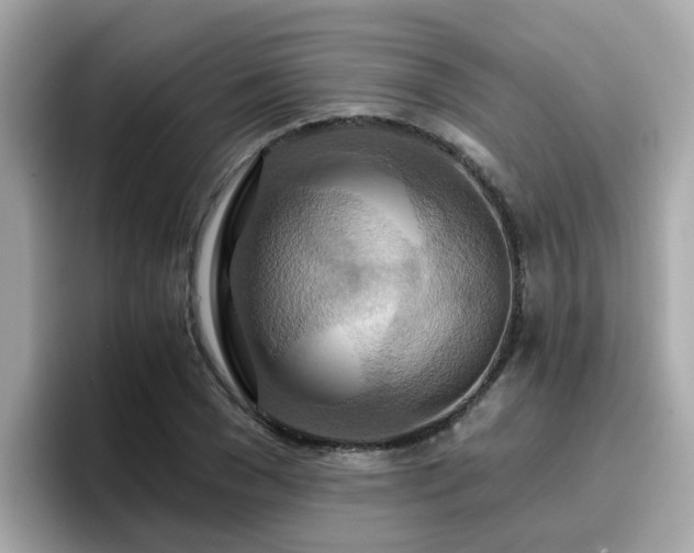 X0000096660977200802121127