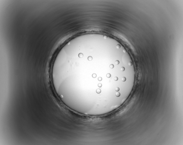 X0000096660978200802121127