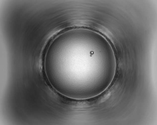 X0000096660979200802121127