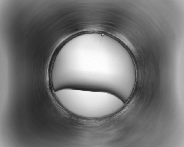 X0000096660980200802121127