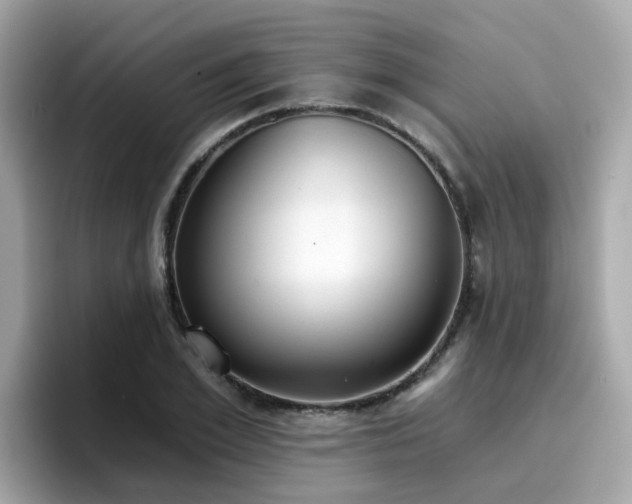 X0000096660981200802121127