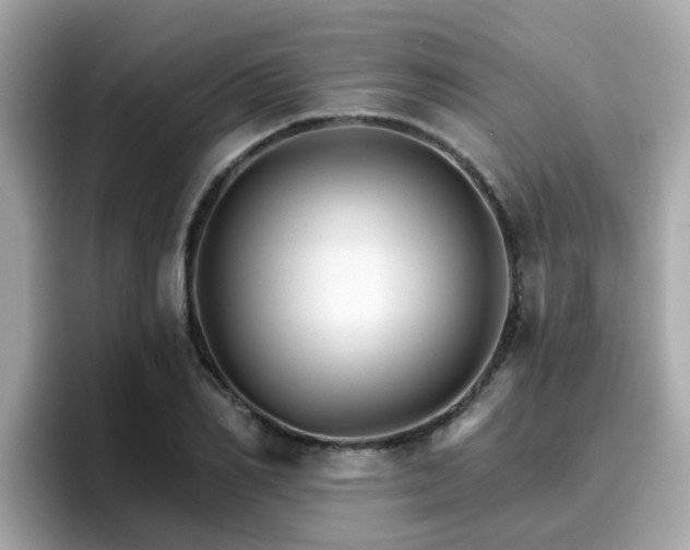 X0000096660982200802121127