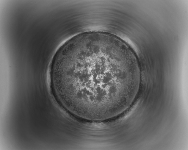 X0000096660983200802121127