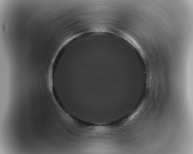 X0000096660984200802121127