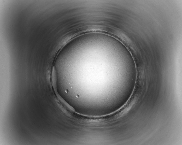 X0000096660985200802121127