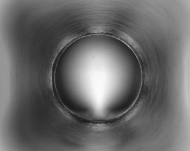 X0000096660986200802121127