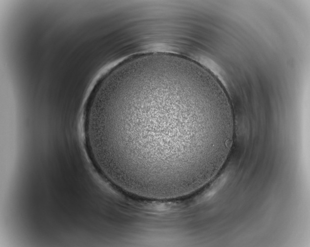 X0000096660987200802121127