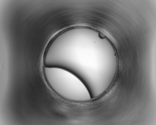 X0000096660988200802121127